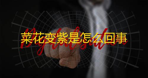 第五人格寂静直装下载菜花变紫是怎么回事